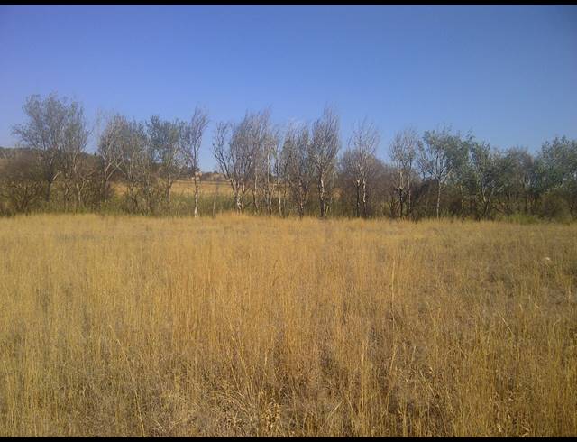 1,939HA FARM FOR SALE IN LEEUPORT